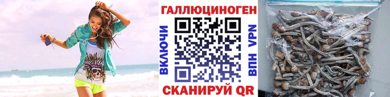Псилоцибиновые грибы мухоморы  Ачхой-Мартан 