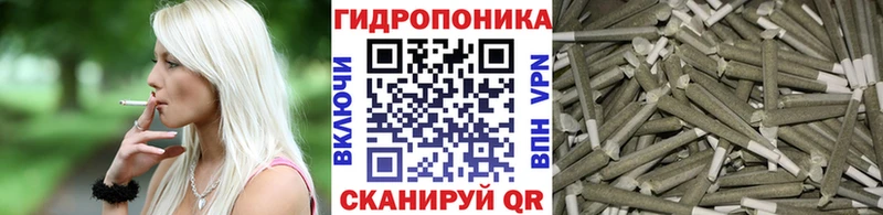 Конопля ГИДРОПОН  ссылка на мегу маркетплейс  Ачхой-Мартан 